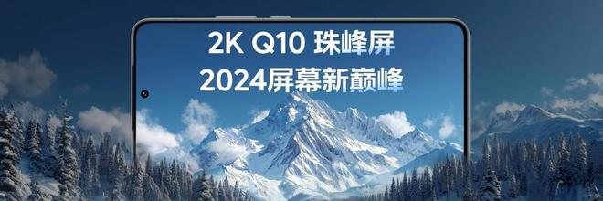 性能技术沟通会：引领电竞手机新标杆九游会·j9网站iQOO 13电竞(图3)