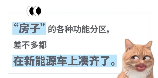把中产看傻“坐新能源车越来越像钻别人家被窝了”九游会j9登陆蔚来们往车里装衣帽间、厨房和厕所(图7)